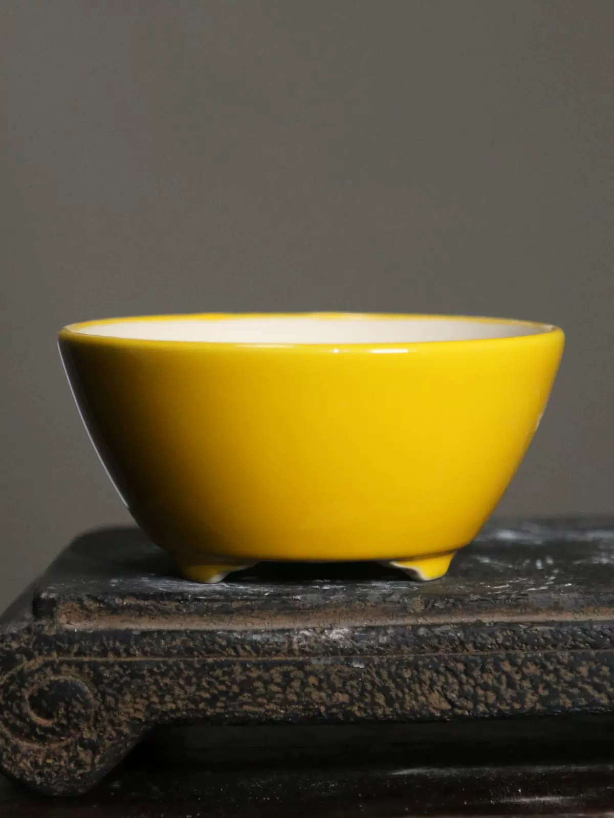 Plant Pot Small Desk - Pot à bonsaï rond coloré en