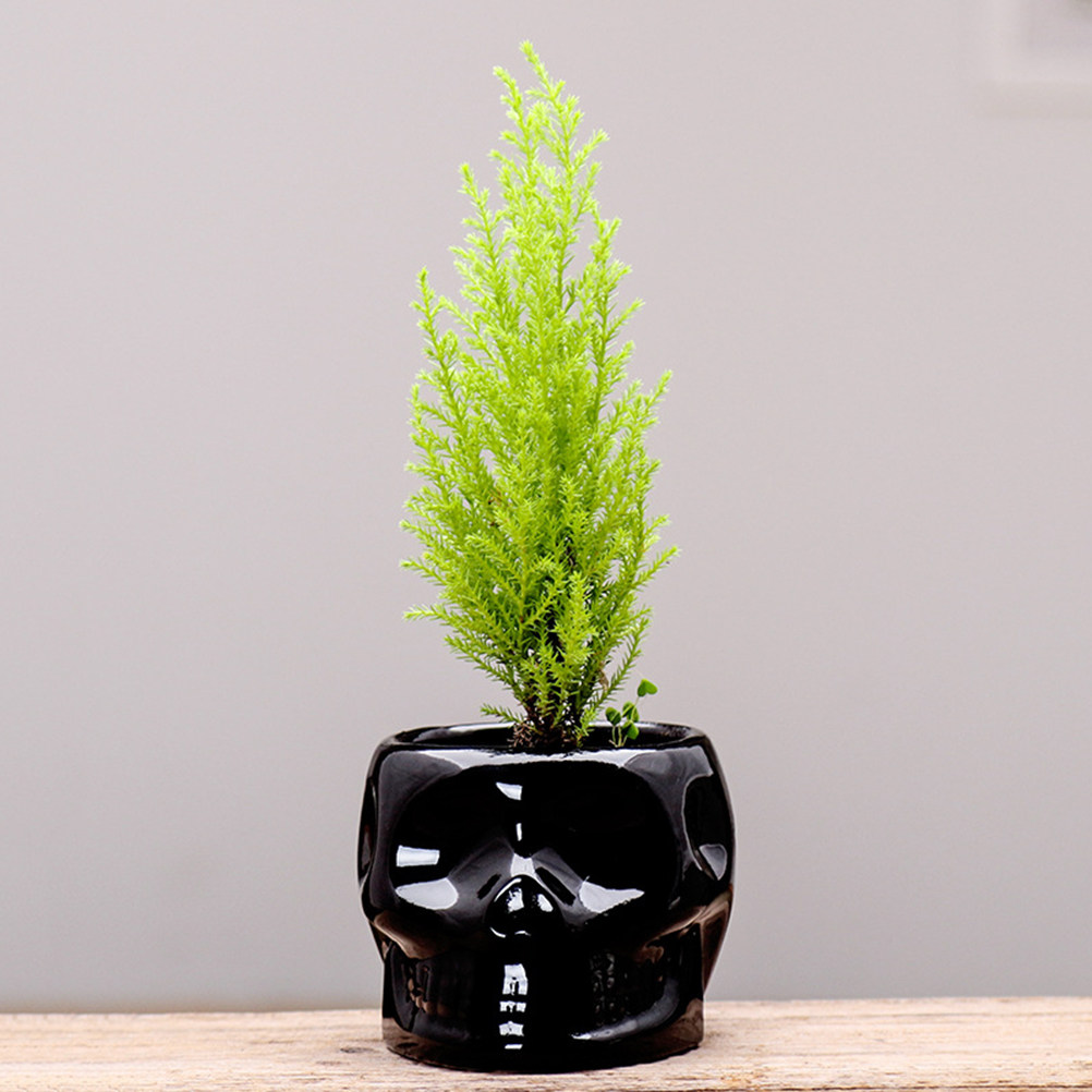 Plant Pot Small Desk - Pot de fleurs en céramique, design
