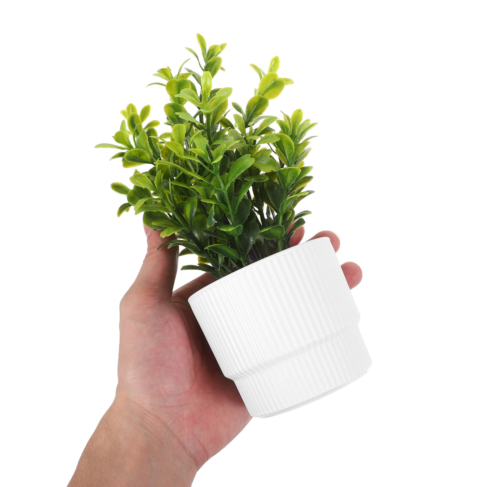 Lot de 3 petites plantes d'euc - Plant Pot Small Desk avis et prix