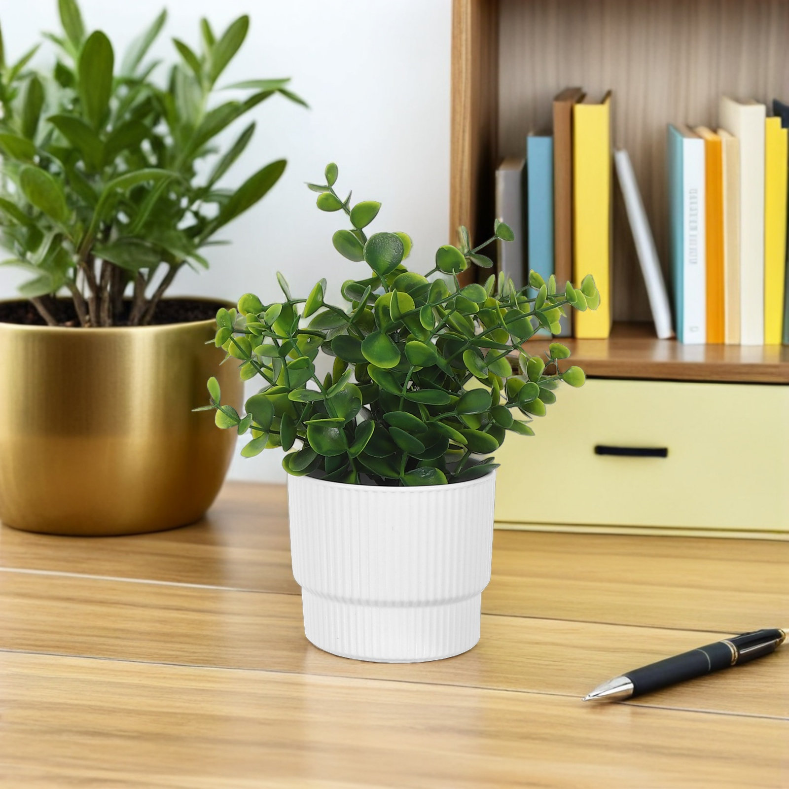Lot de 3 petites plantes d'euc - Plant Pot Small Desk avis et prix