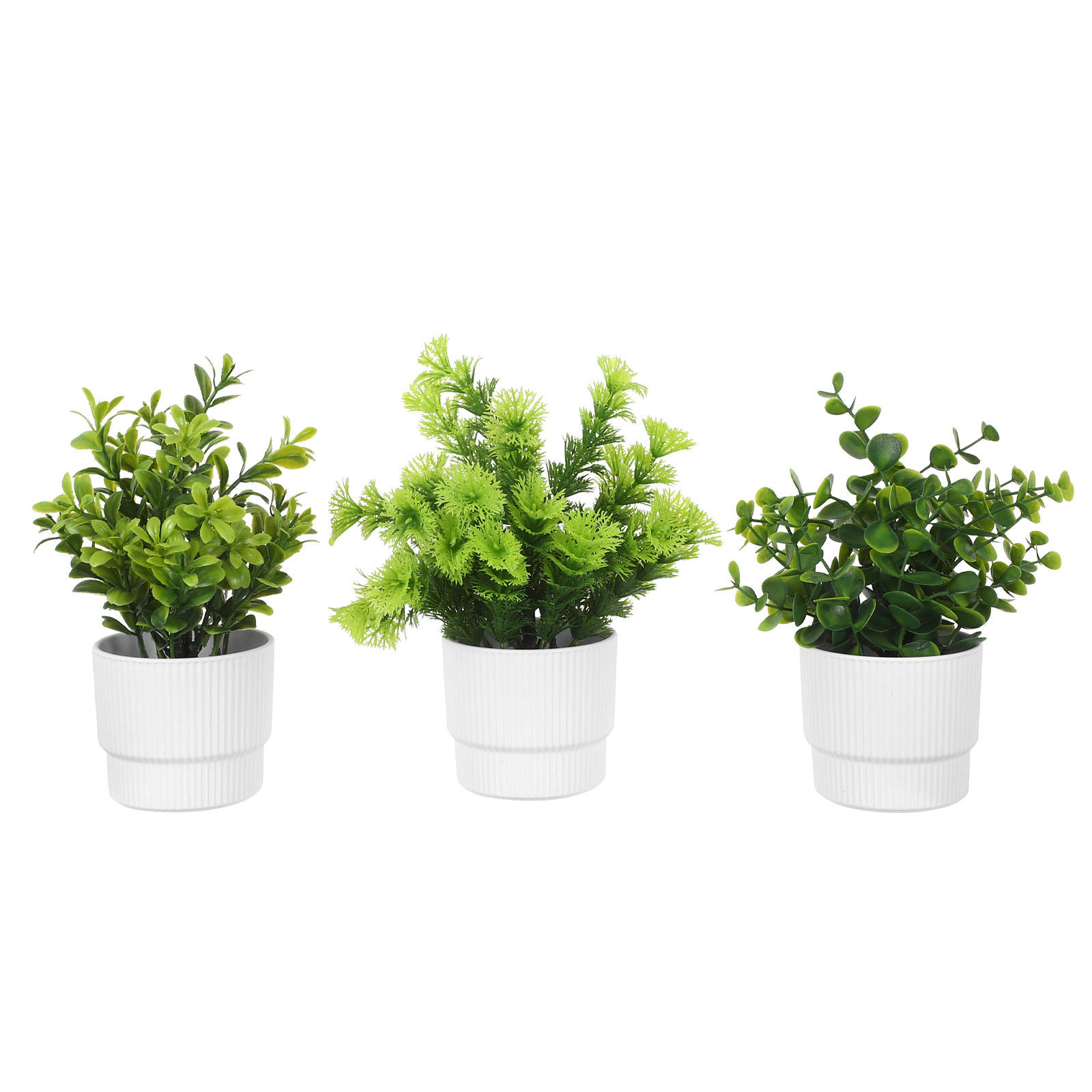 Lot de 3 petites plantes d'euc - Plant Pot Small Desk avis et prix