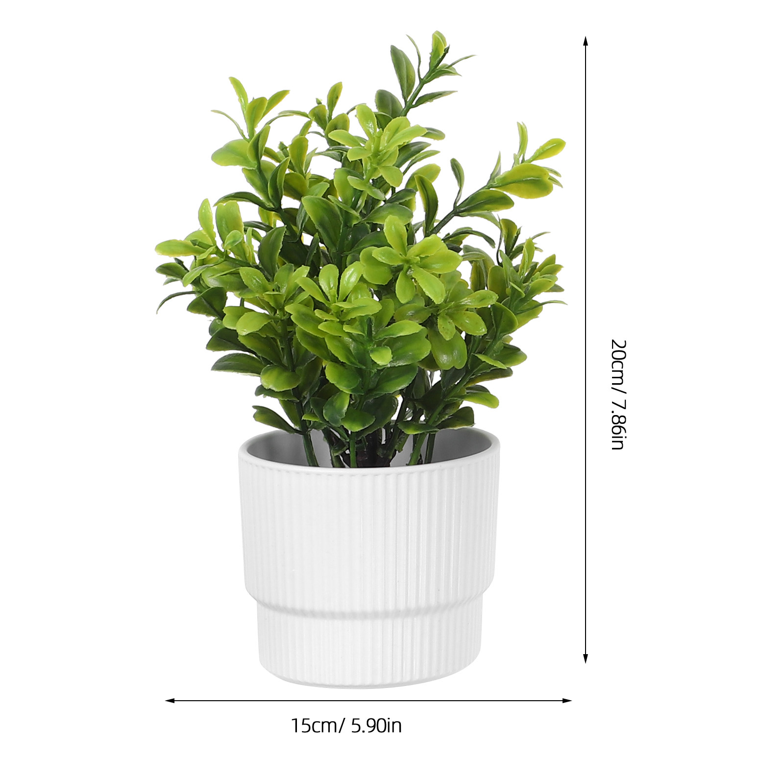 Lot de 3 petites plantes d'euc - Plant Pot Small Desk avis et prix