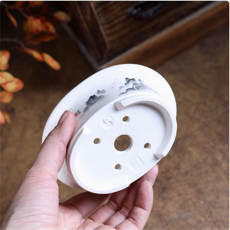 Pot à bonsaï ovale blanc en po - Plant Pot Small Desk avis et prix
