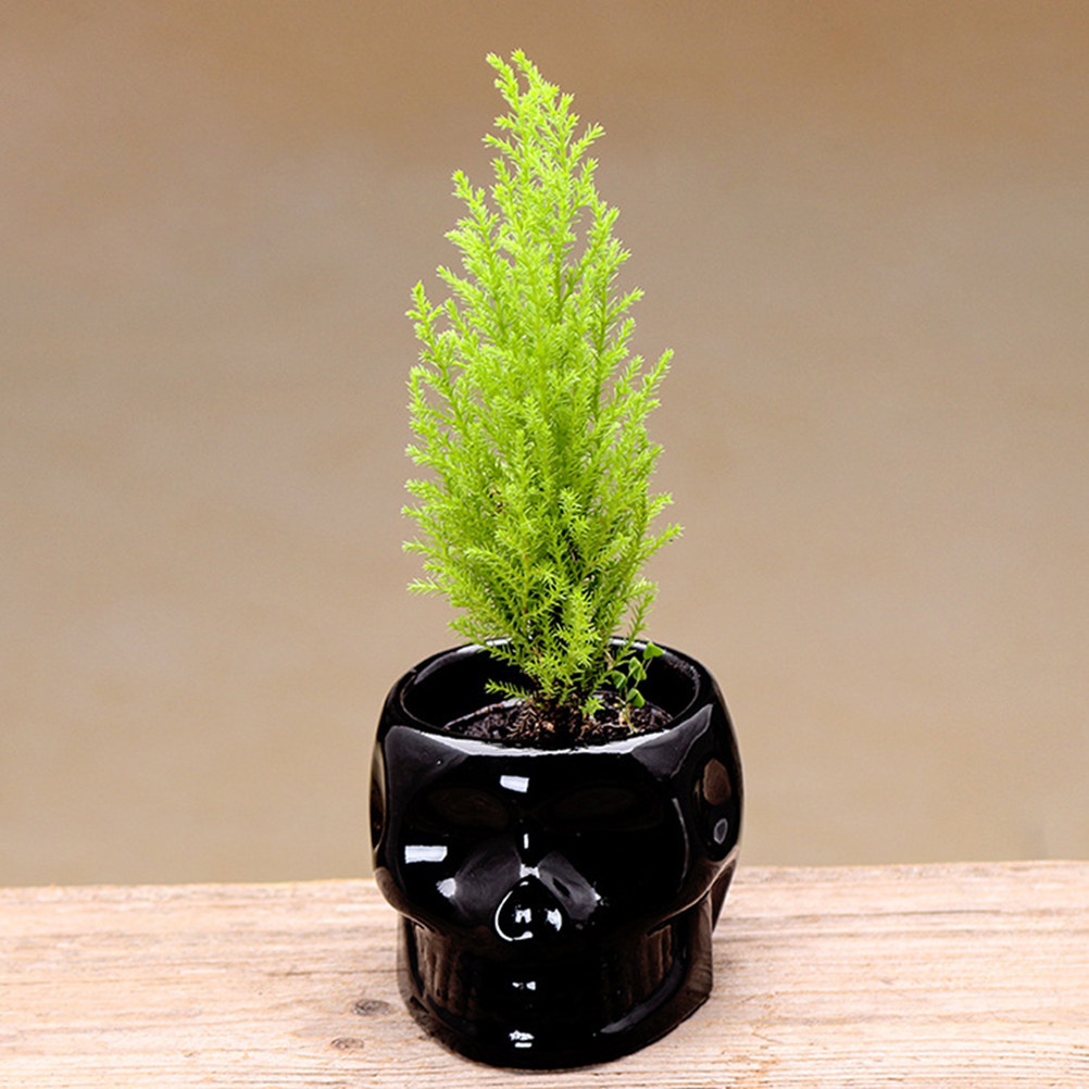 Pot de fleurs en céramique, de - Plant Pot Small Desk avis et prix